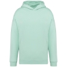 Sweat capuche oversize écoresponsable vert Native Spirit