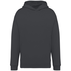 Sweat capuche oversize écoresponsable Gris Native Spirit