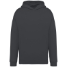 Sweat capuche oversize écoresponsable Gris Native Spirit