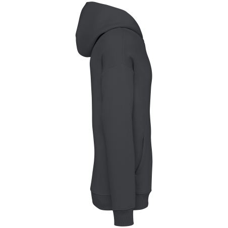Sweat capuche oversize écoresponsable Gris Native Spirit – vue 3