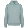 Sweat capuche oversize écoresponsable Vert jade Native Spirit
