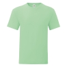 T-shirt homme Iconic-T Vert menthe Fruit of the Loom – 145 g/m²