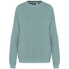 Sweat oversize French Terry vert Washed Jade Green Native Spirit
