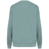 Sweat oversize French Terry vert Washed Jade Green Native Spirit – vue 2