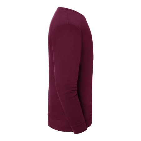Sweat-shirt Iconic 250 Bordeaux Fruit of the Loom – vue 3