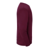 Sweat-shirt Iconic 250 Bordeaux Fruit of the Loom – vue 3