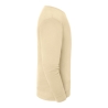 Sweat-shirt Iconic 250 Beige (Desert Sand) – Fruit of the Loom – vue 3