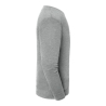 Sweat-shirt Iconic 250 Gris (Light Graphite) – Fruit of the Loom – vue 3