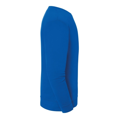 Sweat-shirt Iconic 250 Royal Blue Fruit of the Loom – vue 3