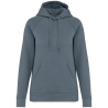 Sweat capuche raglan femme écoresponsable gris – Native Spirit