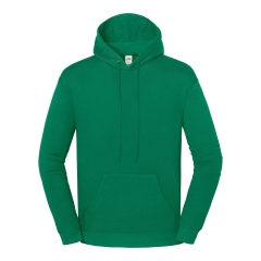 Sweat-shirt à capuche Iconic 250 Vert Fruit of the Loom