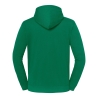 Sweat-shirt à capuche Iconic 250 Vert Fruit of the Loom – vue 2