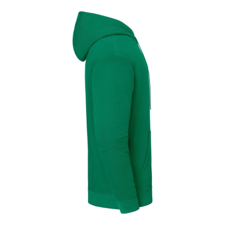 Sweat-shirt à capuche Iconic 250 Vert Fruit of the Loom – vue 3