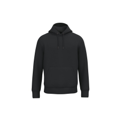 Sweat à capuche écoresponsable unisexe Noir Native Spirit