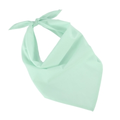 Bandana Fiesta Vert Frost Green K-up – Taille Unique