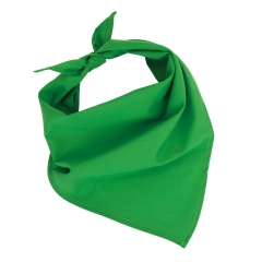 Bandana Fiesta Vert – K-up | Label Blouse