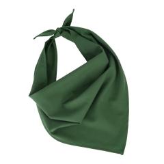 Bandana Vert Pasture Green K-up Fiesta – Polycoton