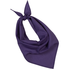 Bandana Fiesta Violet – K-up | Label Blouse